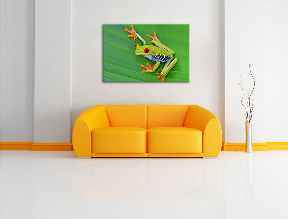 kleiner grüner Frosch auf Blatt Leinwandbild über Sofa