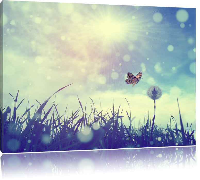 Pixxprint Schmetterling fliegt zu Pusteblume, Leinwandbild