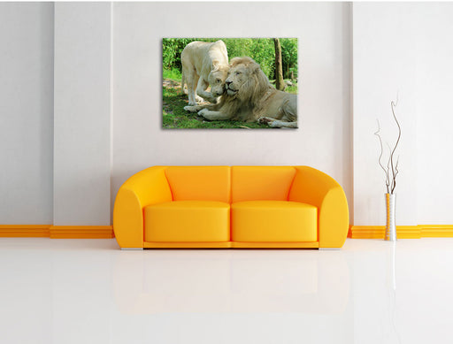 verliebtes Löwenpaar Leinwandbild über Sofa