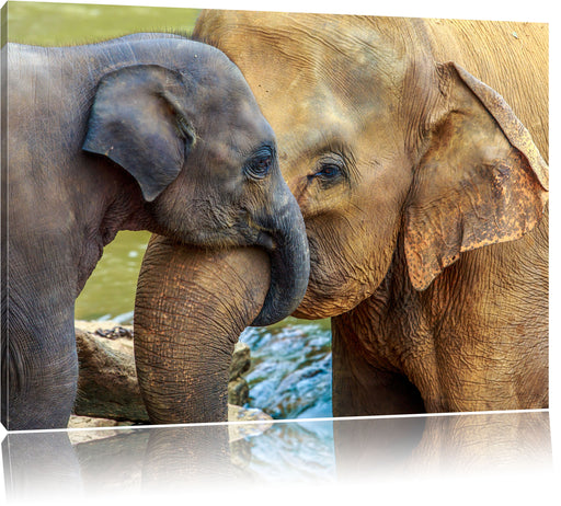 Elefantenmutter mit Kalb Leinwandbild
