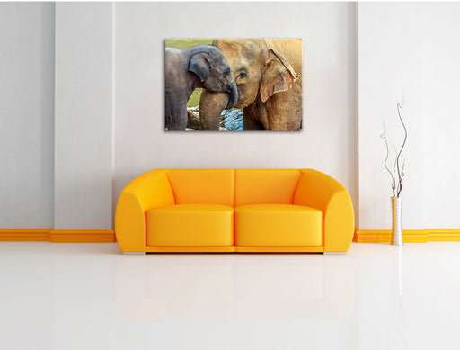Elefantenmutter mit Kalb Leinwandbild über Sofa