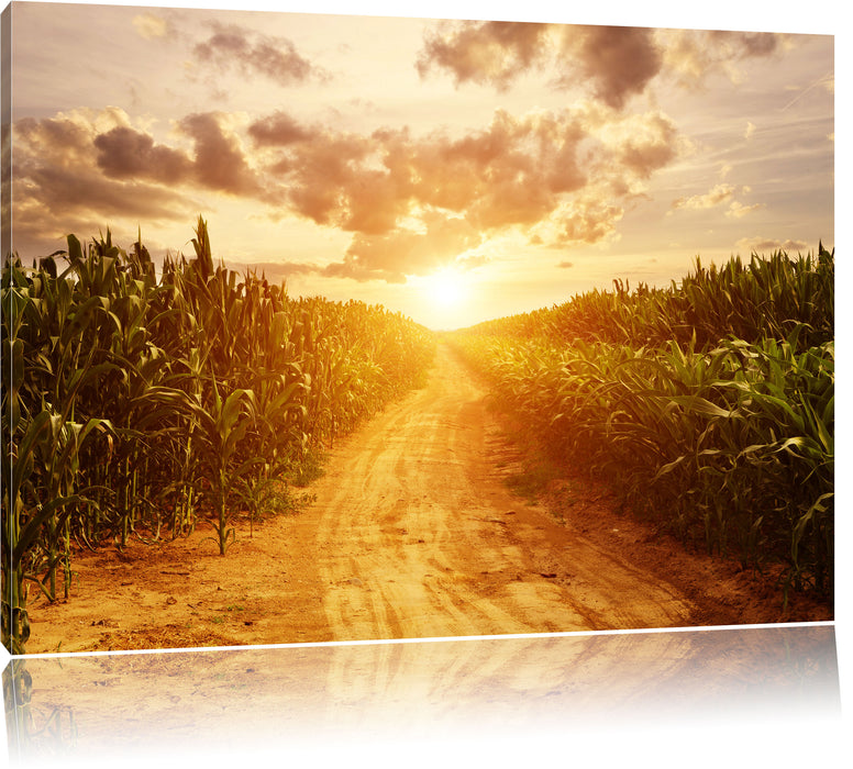 Pixxprint Pfad durch Feld, Leinwandbild