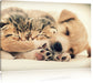 Hundewelpe mit kleinen Kätzchen Leinwandbild