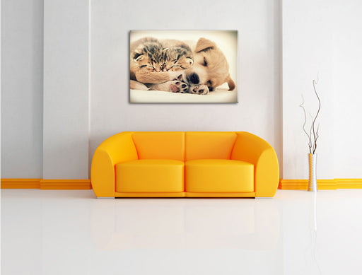 Hundewelpe mit kleinen Kätzchen Leinwandbild über Sofa