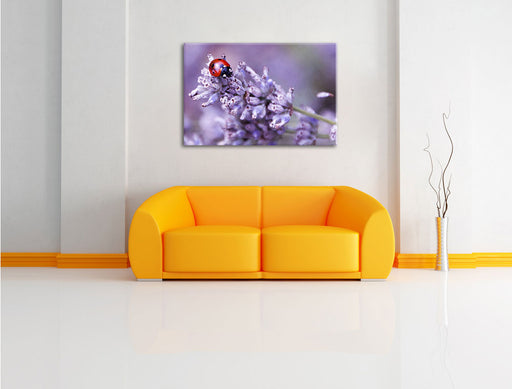 kleiner Marienkäfer auf Lavendel Leinwandbild über Sofa