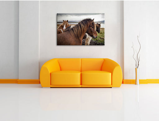 Herde aus schönen Wildpferden Leinwandbild über Sofa