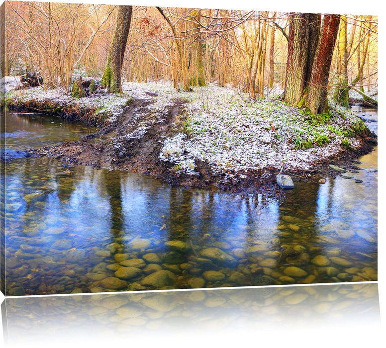 Pixxprint schneebedeckter Waldboden, Leinwandbild