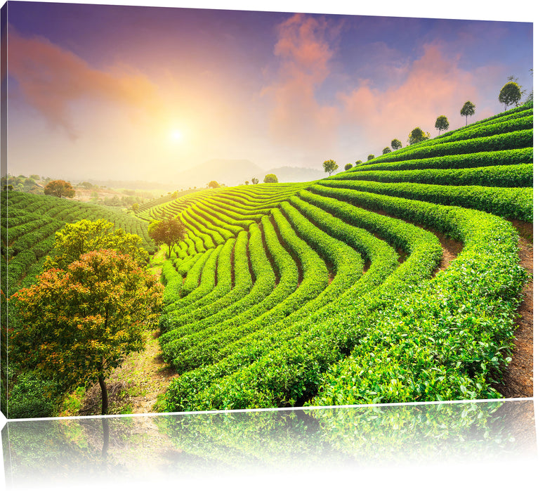 Pixxprint Japanische Treppenfelder, Leinwandbild
