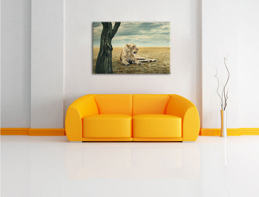 Löwin Ruhe Savanne Leinwandbild über Sofa