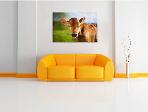 Junge Kuh Kälbchen Leinwandbild über Sofa