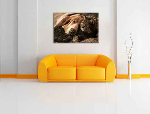 Katze und Hund kuschelnd Leinwandbild über Sofa