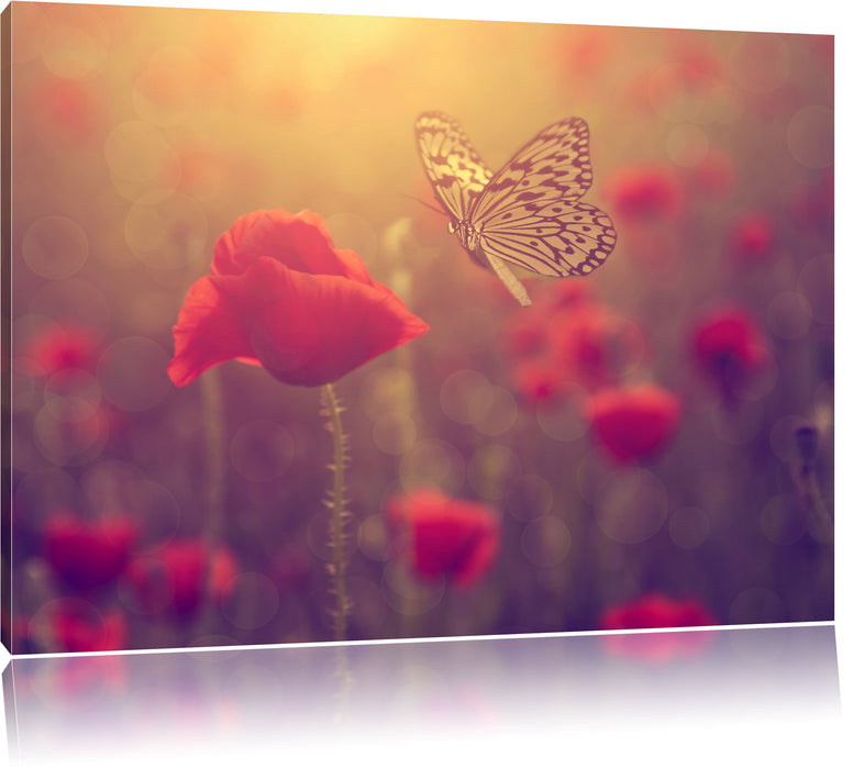 Pixxprint Mohn und Schmetterling, Leinwandbild