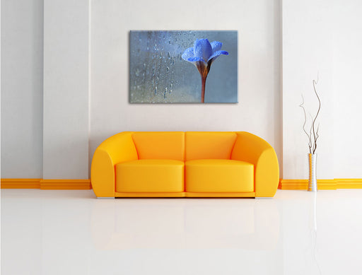 Frühlingsblume mit Tau Leinwandbild über Sofa