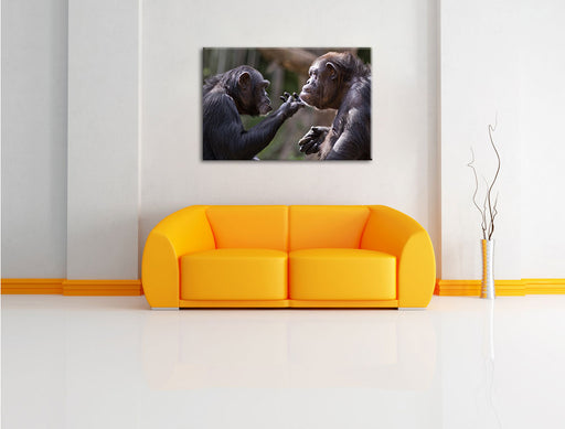 Schimpansen Freundschaft Leinwandbild über Sofa