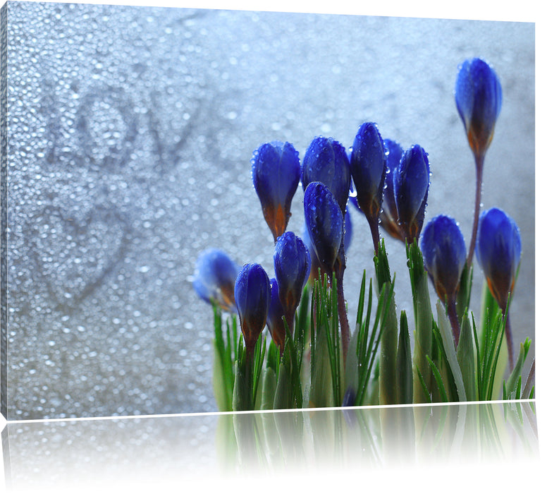 Pixxprint Frühlingsblumen Tropfen, Leinwandbild
