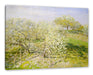 Claude Monet - Frühling Apfelbäume in der Blüte Leinwanbild Rechteckig