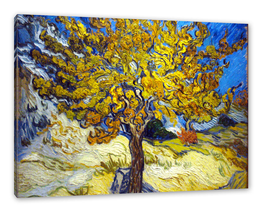 Pixxprint Vincent Van Gogh - Maulbeerbaum, Leinwandbild