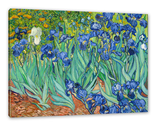 Vincent Van Gogh - Schwertlilien Leinwanbild Rechteckig