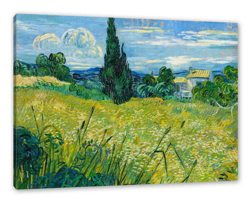 Vincent Van Gogh - Grünes Weizenfeld mit Zypressen Leinwanbild Rechteckig