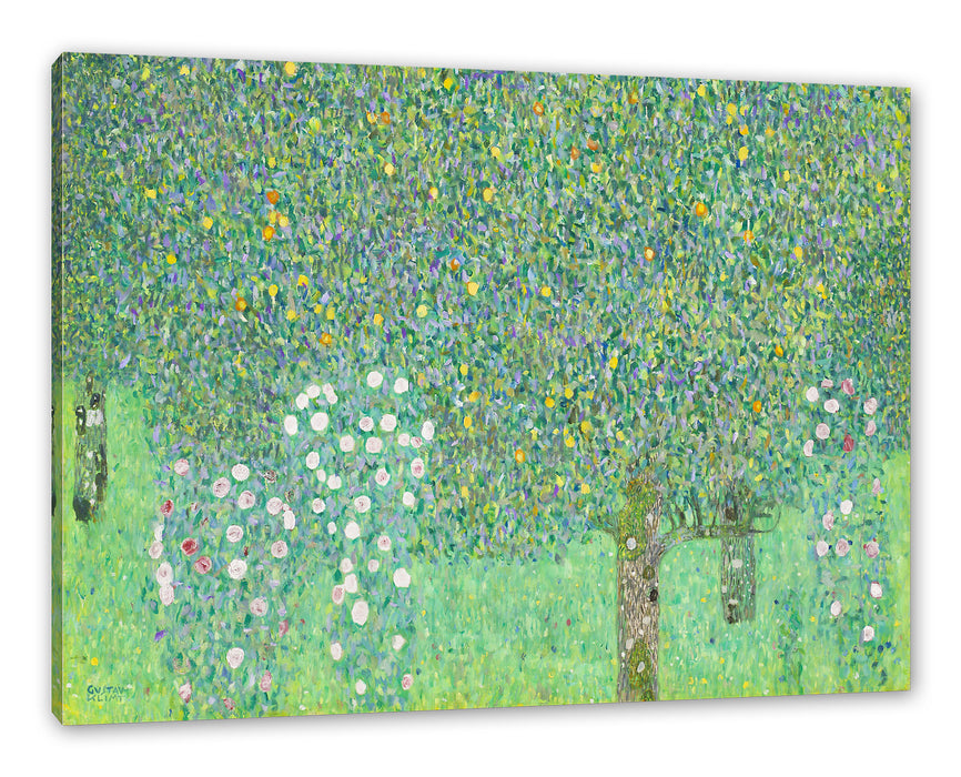 Pixxprint Gustav Klimt - Rosen unter Bäumen, Leinwandbild