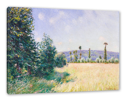 Alfred Sisley - Sahurs Meadows in Morning Sun  Leinwanbild Rechteckig