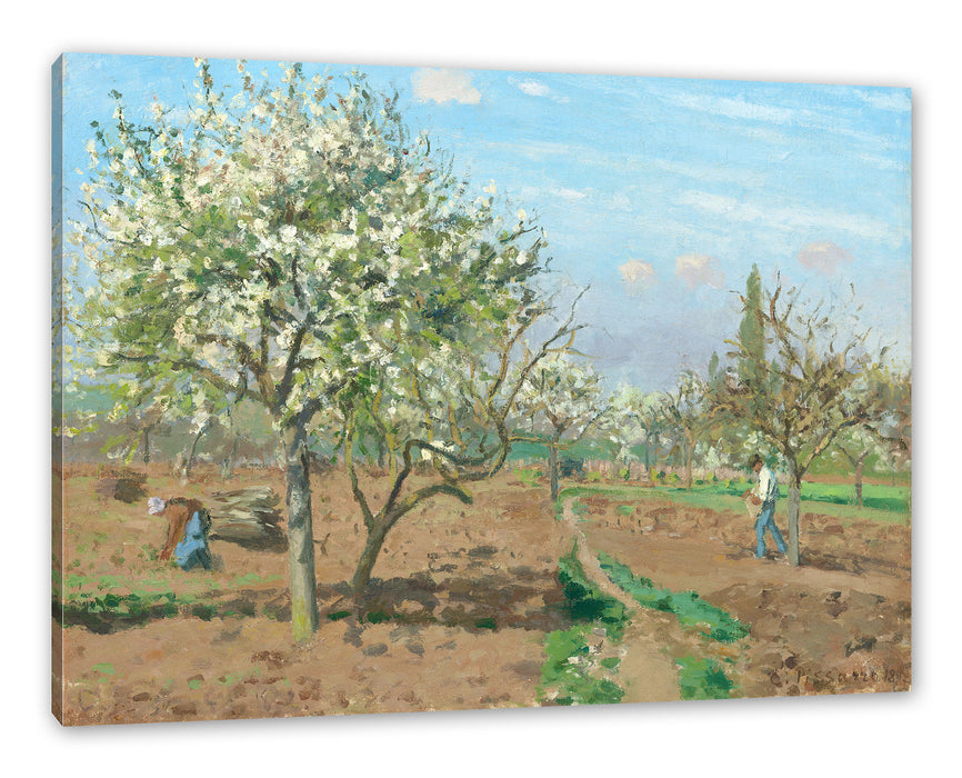 Pixxprint Camille Pissarro - Orchard in Blossom Louveciennes , Leinwandbild