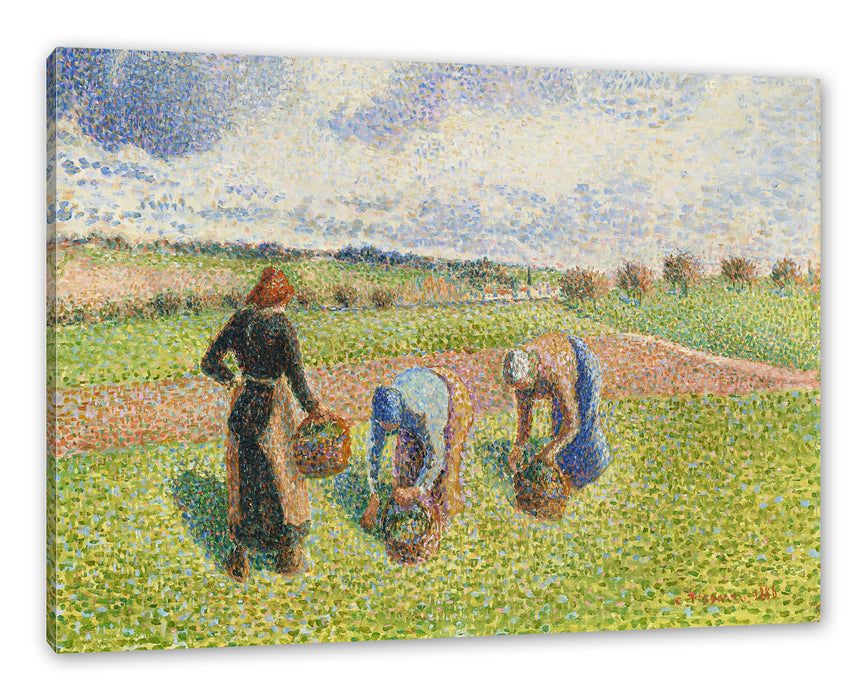 Pixxprint Camille Pissarro - PAYSANNES RAMASSANT DES HERBES ÉRAG, Leinwandbild