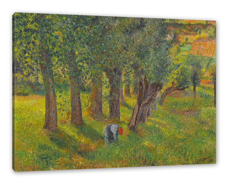 Camille Pissarro - LE CHOU À PONTOISE  Leinwanbild Rechteckig