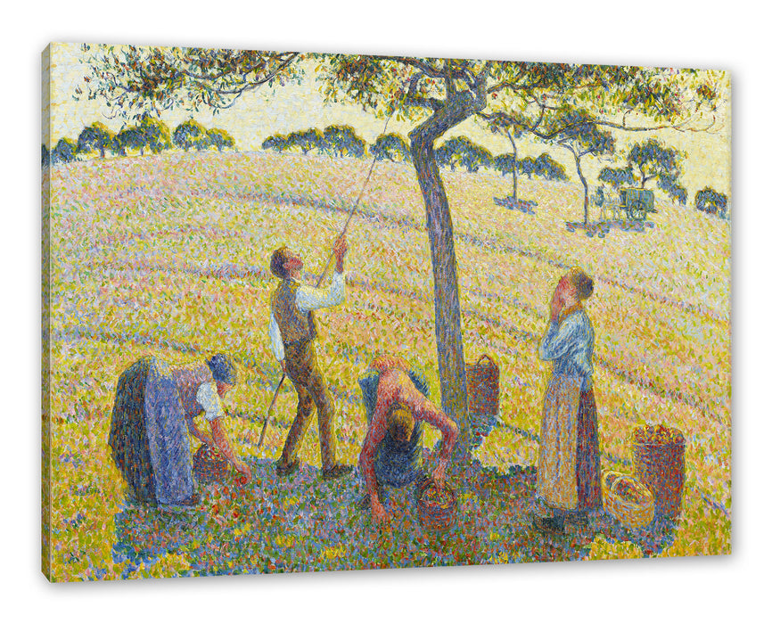 Pixxprint Camille Pissarro - Apple Harvest, Leinwandbild