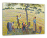 Camille Pissarro - Apple Harvest Leinwanbild Rechteckig