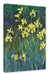 Claude Monet - Gelbe Schwertlilien  Leinwanbild Rechteckig