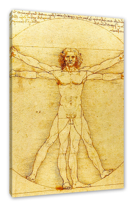 Pixxprint Leonardo da Vinci - Vitruvianischer Mensch, Leinwandbild