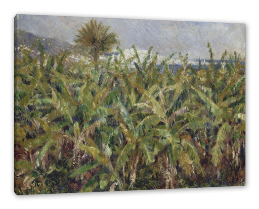 Pierre-Auguste Renoir - Feld mit Bananenbäumen  Leinwanbild Rechteckig
