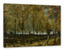 Vincent Van Gogh - Pappeln in der Nähe von Nuenen  Leinwanbild Rechteckig