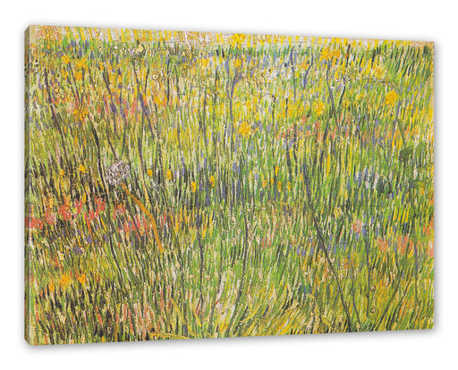 Vincent Van Gogh - Gras-Stelle  Leinwanbild Rechteckig