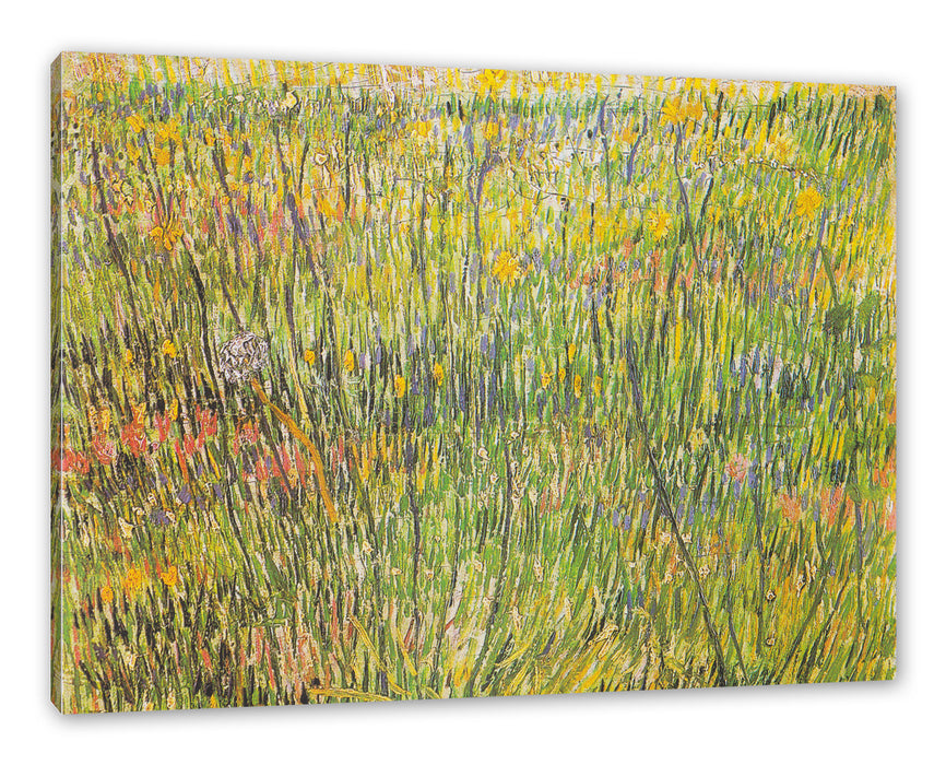 Pixxprint Vincent Van Gogh - Gras-Stelle , Leinwandbild