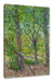 Vincent Van Gogh - Bäume  Leinwanbild Rechteckig