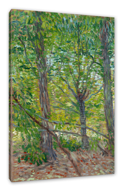 Vincent Van Gogh - Bäume  Leinwanbild Rechteckig