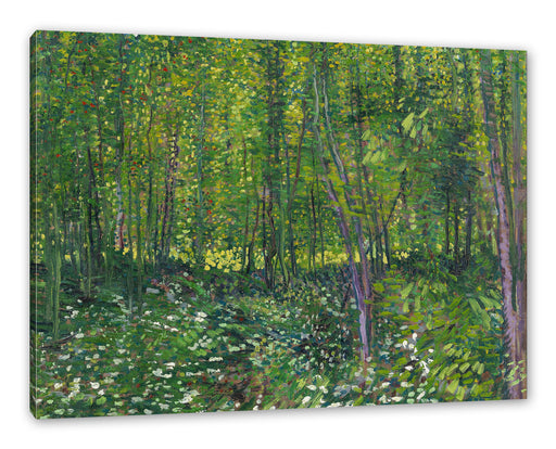 Vincent Van Gogh - Bäume und Unterholz  Leinwanbild Rechteckig