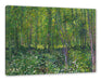 Vincent Van Gogh - Bäume und Unterholz  Leinwanbild Rechteckig