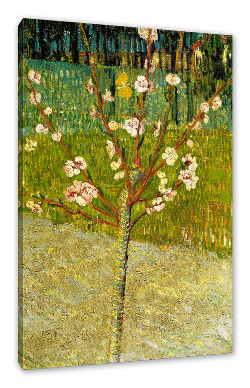 Vincent Van Gogh - Blühender Mandelbaum  Leinwanbild Rechteckig