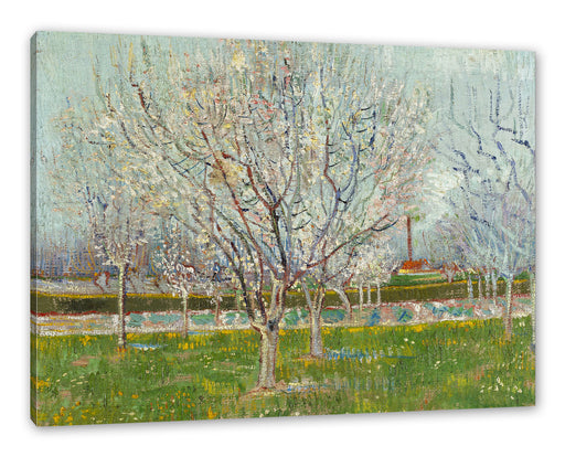 Vincent Van Gogh - Blühender Obstgarten Pflaumenbaum  Leinwanbild Rechteckig