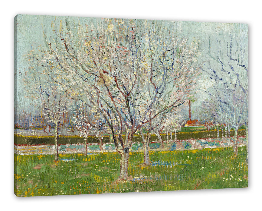 Pixxprint Vincent Van Gogh - Blühender Obstgarten Pflaumenbaum , Leinwandbild