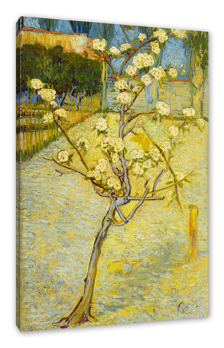 Pixxprint Vincent Van Gogh - Blühender kleiner Birnenbaum , Leinwandbild