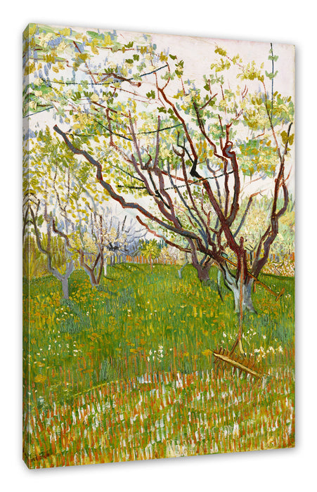 Pixxprint Vincent Van Gogh - Der blühende Obstgarten , Leinwandbild