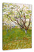 Vincent Van Gogh - Der blühende Obstgarten  Leinwanbild Rechteckig