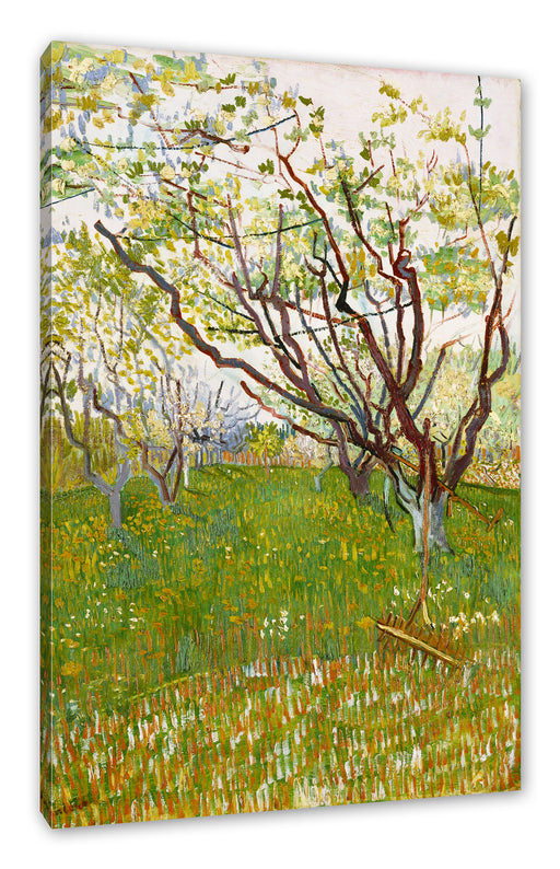 Vincent Van Gogh - Der blühende Obstgarten  Leinwanbild Rechteckig