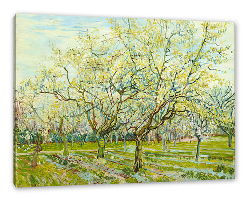 Vincent Van Gogh - Der weiße Obstgarten  Leinwanbild Rechteckig