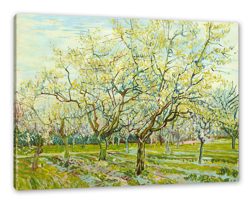 Pixxprint Vincent Van Gogh - Der weiße Obstgarten , Leinwandbild