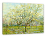Vincent Van Gogh - Der weiße Obstgarten  Leinwanbild Rechteckig